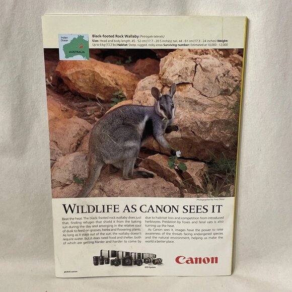 National Geographic October 2020 Reimagining Dinosaurs Tragedy of Human Traffick - Picture 2 of 10